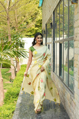 Beautiful Weaving Saree