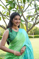 Chiffon Bandhni Saree