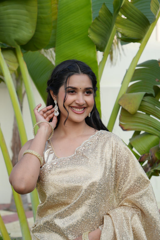 Tissue Silk Saree