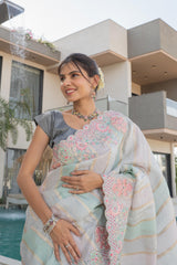 Pastel Pink & Moof Purple Banarasi Saree